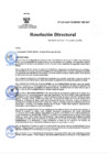 Vista preliminar de documento RD Nº 019-2025-DG-INSM