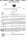 Vista preliminar de documento RDR 11019-2024