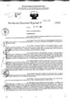 Vista preliminar de documento RDR 11021-2024