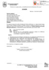 Vista preliminar de documento Citación Ordinaria N° 01-2025