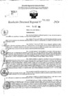 Vista preliminar de documento RDR 11022-2024