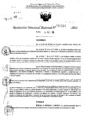 Vista preliminar de documento RDR 11023-2024