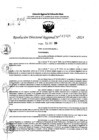 Vista preliminar de documento RDR 11024-2024