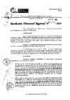 Vista preliminar de documento RDR 11026-2024