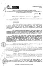 Vista preliminar de documento RDR 11027-2024
