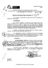 Vista preliminar de documento RDR 11028-2024