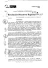 Vista preliminar de documento RDR 11029-2024