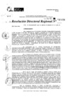 Vista preliminar de documento RDR 11031-2024