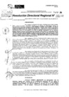 Vista preliminar de documento RDR 11032-2024