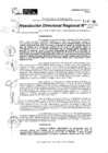Vista preliminar de documento RDR 11033-2024