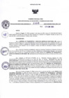 Vista preliminar de documento RDR N°095-2025-29-01-2025