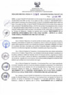 Vista preliminar de documento RDR N°096-2025-29-01-2025