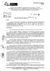 Vista preliminar de documento RDR 11036-2024