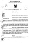 Vista preliminar de documento RDR 11040-2024