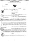 Vista preliminar de documento RDR 11042-2024