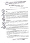 Vista preliminar de documento RA_991_2023