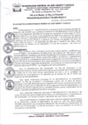 Vista preliminar de documento RA_993_2023