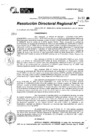 Vista preliminar de documento RDR 11045-2024
