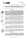 Vista preliminar de documento RDR 11046-2024