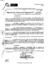 Vista preliminar de documento RDR 11049-2024