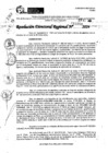 Vista preliminar de documento RDR 11050-2024