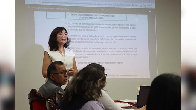 Jueza de la Corte Superior del Callao expuso el plan de trabajo de implementación del Sistema Nacional Especializada de Justicia - SNEJ Callao para el año 2025