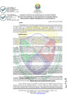 Vista preliminar de documento RCO N° 060-2025