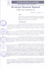 Vista preliminar de documento RDR 023-2025