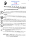 Vista preliminar de documento RA293-2024