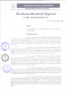 Vista preliminar de documento RDR 026-2025