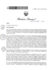 Vista preliminar de documento RD 019 DG 2025