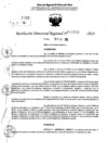 Vista preliminar de documento RDR 11053-2024