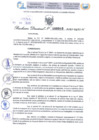 Vista preliminar de documento Resolución Directoral N° 000040 - 2025