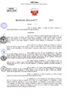 Vista preliminar de documento Resolucion Directoral N° 000191-2025