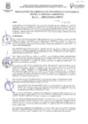 Vista preliminar de documento FE DE ERRATAS RESOLUCION DE GERENCIA DE DESARROLLO ECONOMICO SOCIAL Y GESTION AMBIENTAL N°014-2025-GDESGA-MDP-T