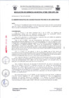 Vista preliminar de documento RG030-2025