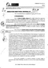 Vista preliminar de documento RDR 11057-2024