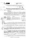 Vista preliminar de documento RDR 11058-2024