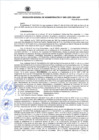 Vista preliminar de documento RESOL. N° 01-2025-DGA-UNP