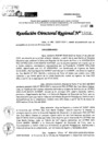 Vista preliminar de documento RDR 11061-2024