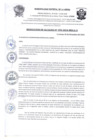 Vista preliminar de documento R.A N° 395-2024