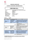 Vista preliminar de documento 1. CORI PUNO- Alcance - 2025-01-03