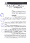 Vista preliminar de documento RDR 027-2025