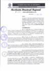 Vista preliminar de documento RDR 028-2025