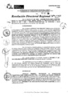 Vista preliminar de documento RDR 11067-2024
