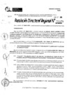 Vista preliminar de documento RDR 11071-2024