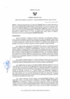 Vista preliminar de documento resolucion gerencial regional 133-2025