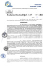 Vista preliminar de documento Resolucion Directoral N° 000207-2025