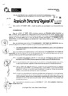 Vista preliminar de documento RDR 11077-2024