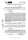 Vista preliminar de documento RDR 11081-2024